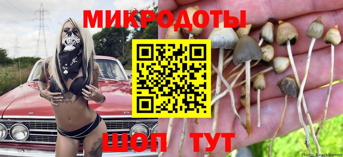Галлюциногенные грибы Cubensis Медногорск