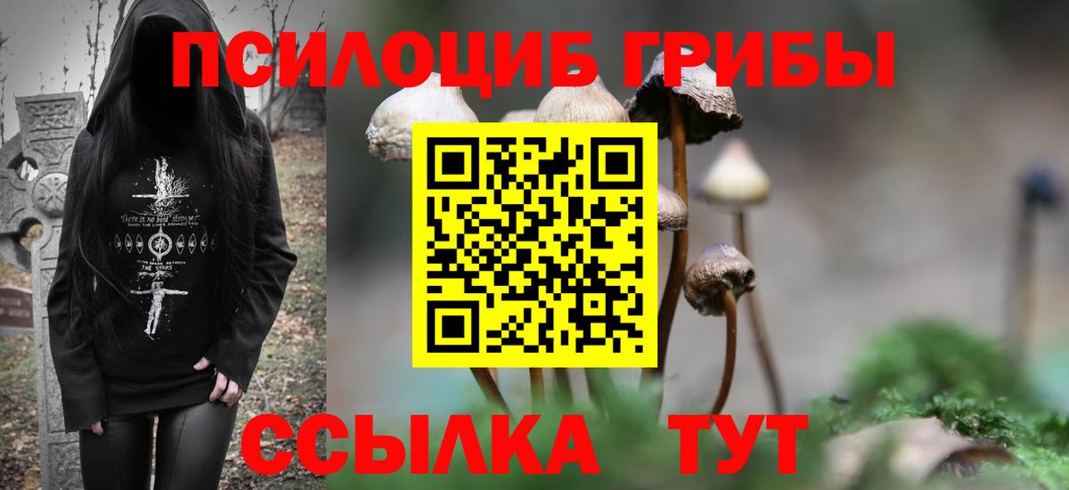 Псилоцибиновые грибы MAGIC MUSHROOMS  Псилоцибиновые грибы Cubensis  Вход с VPN  Медногорск 